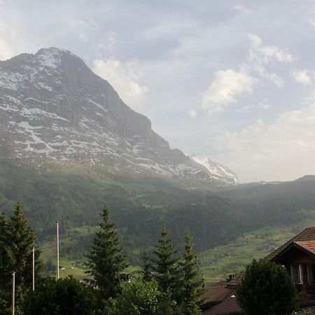 Elements Lodge Grindelwald Eksteriør bilde