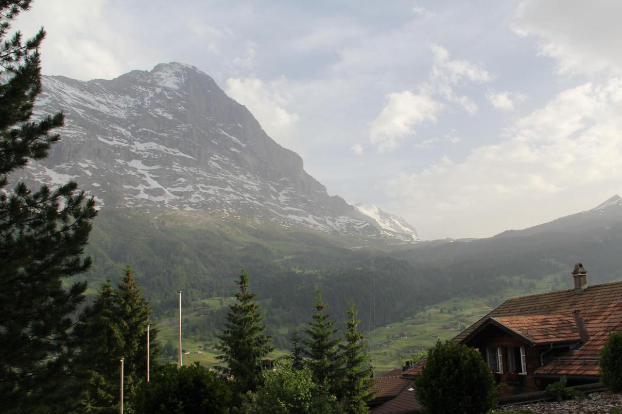 Elements Lodge Grindelwald Eksteriør bilde